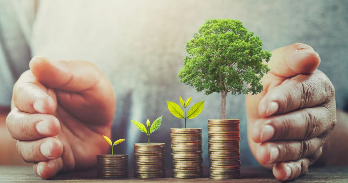 Investment yield